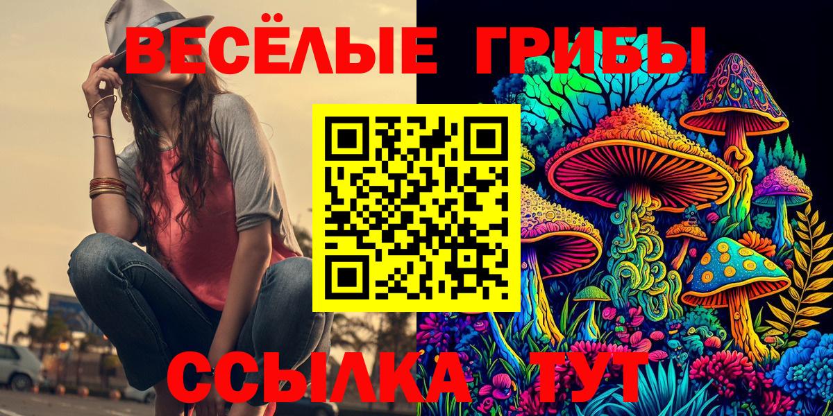 Псилоцибиновые грибы мицелий  Галлюциногенные грибы GOLDEN TEACHER  Большой Камень  Вход с VPN 
